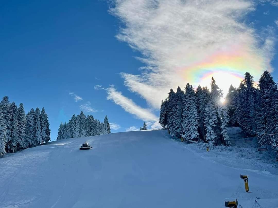 Fox Boutique Apartment Borovets Gardens المظهر الخارجي الصورة