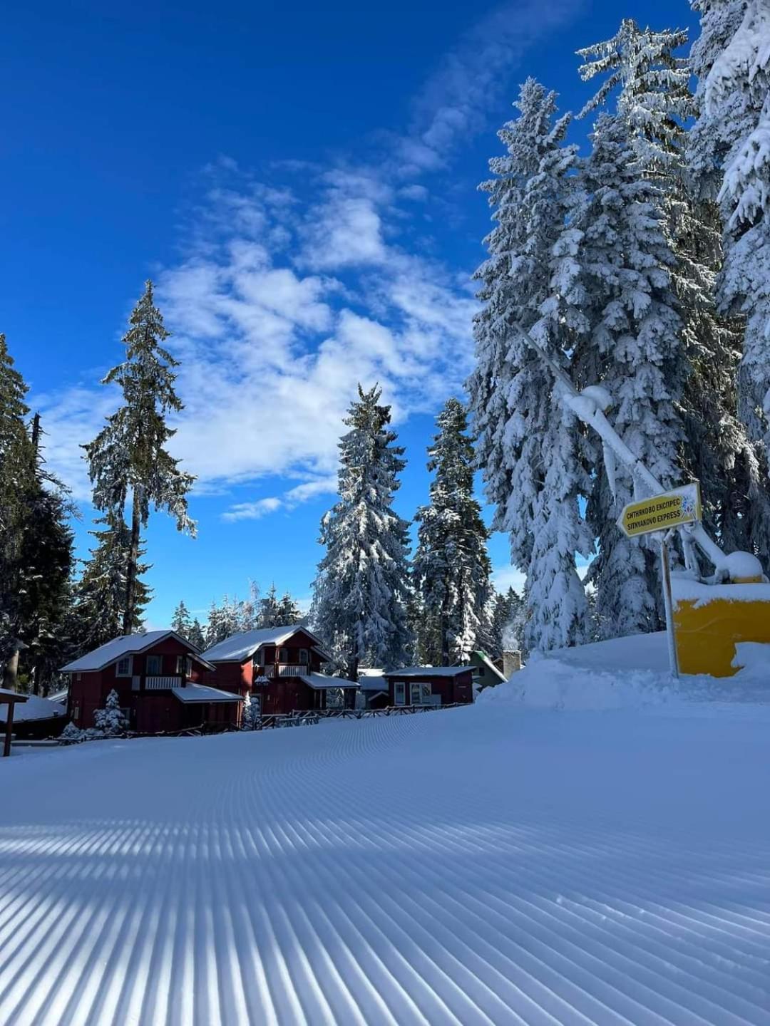 Fox Boutique Apartment Borovets Gardens المظهر الخارجي الصورة